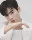 Cha Eunwoo