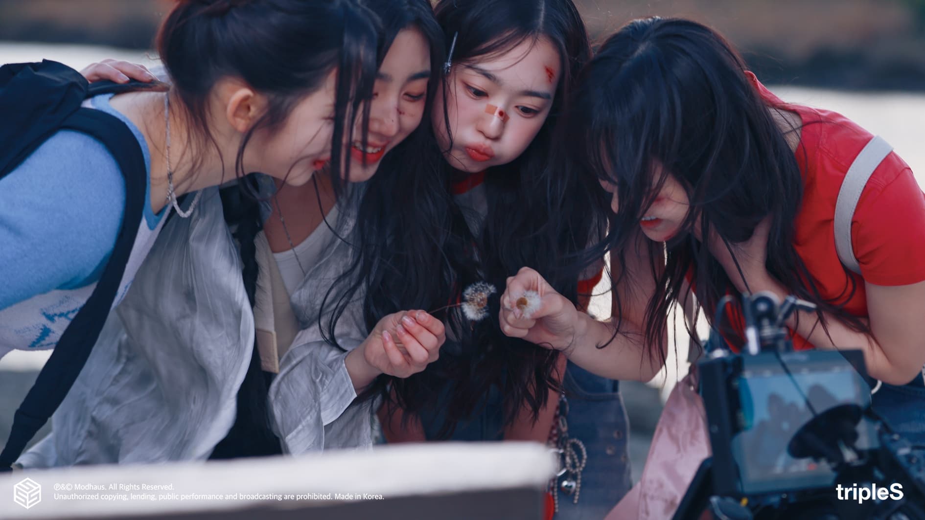 tripleS ASSEMBLE25: Inside K-Pop's Most Ambitious Fan-Democracy Experiment