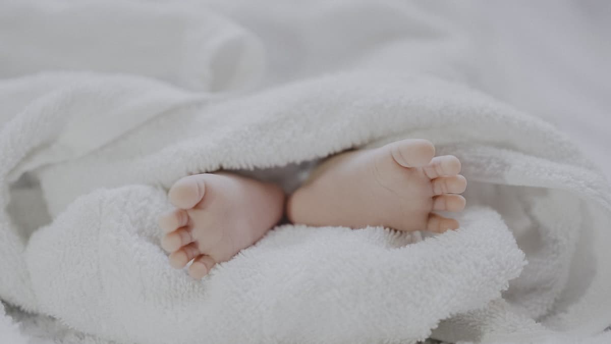 18 Months, 18 Ads: Baby Jae-i Now Pays Income Tax